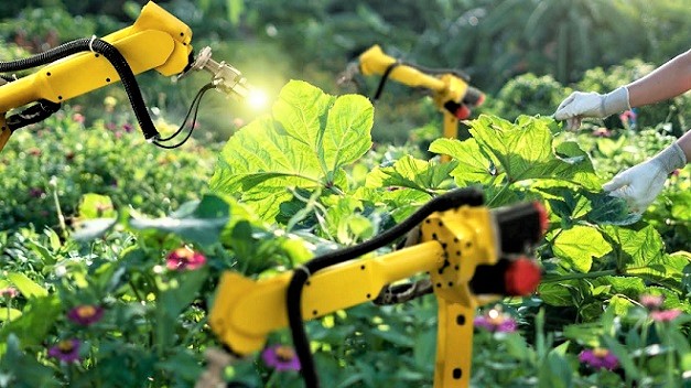 El cambio tecnológico en el campo puede desplazar puestos de trabajo