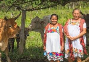 Necesaria agenda de acceso de las mujeres mayas a la justicia: Senado