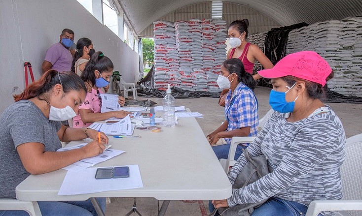 Reducir importación de granos con insumos baratos y de calidad al campo