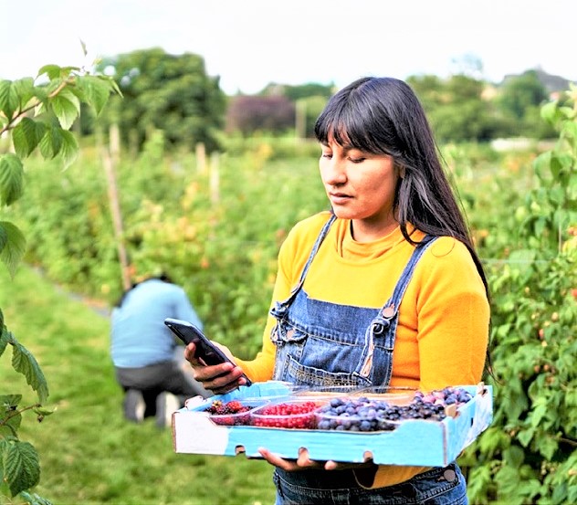 Conectividad área rural