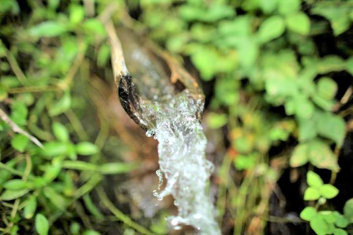 Alentar a la población mundial a cambiar el uso y consumo del agua