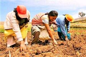 Lamentable la extinción de la Financiera Nacional de Desarrollo Rural