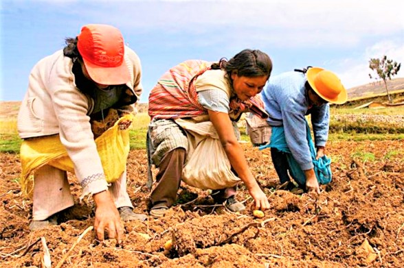 Lamentable la extinción de la Financiera Nacional de Desarrollo Rural