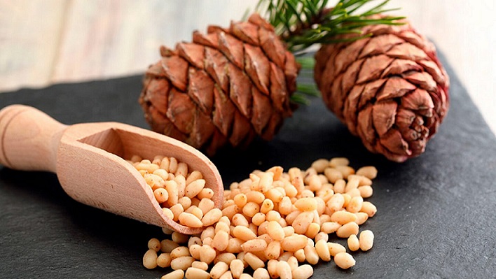 Faltan condiciones para el cultivo, producción y venta de piñón