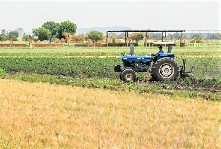 Agricultores de México y EEUU padecen control del mercado por trasnacionales