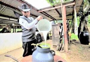 Alto costo de producción de leche y bajo precio en la comercialización