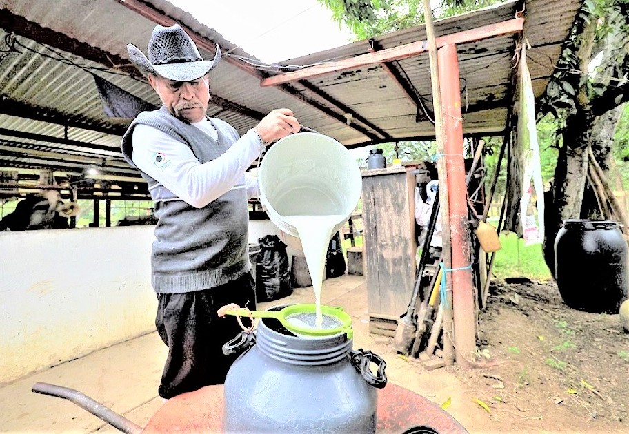 Alto costo de producción de leche y bajo precio en la comercialización