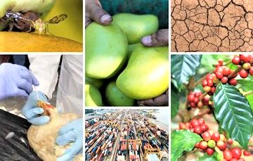 Abre Dinamarca en México consejería de asuntos agroalimentarios