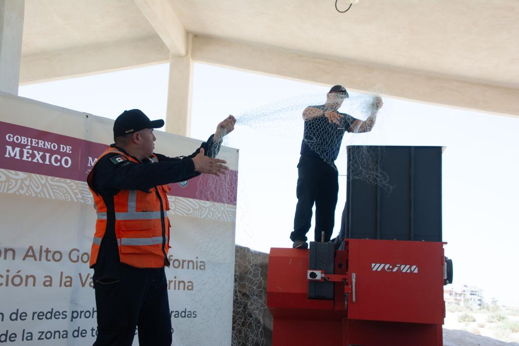 Amplían colocación de bloques de concreto para proteger a la vaquita marina