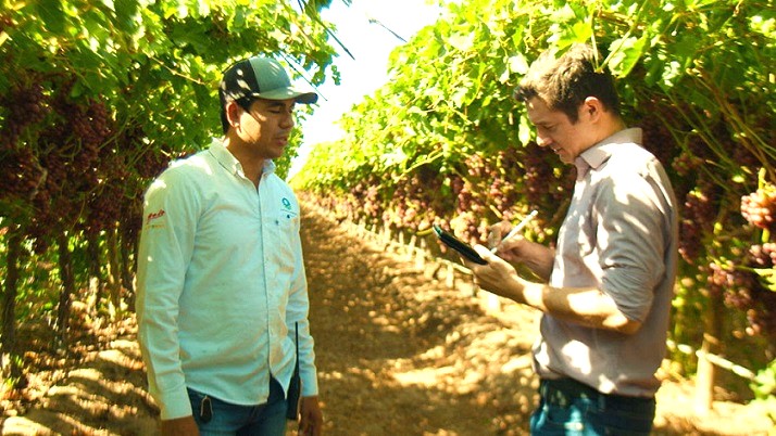 Clima y volatilidad de precios afecta estabilidad de agronegocios