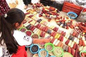 Intercambio y mejoramiento de semillas nativas en Oaxaca