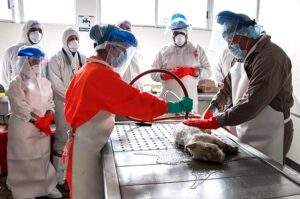 Analizan productores cárnicos de América del Norte reglas de origen