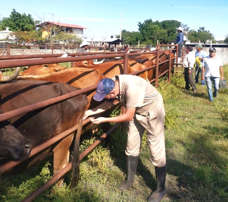 Injusta y discriminatoria la regla «Producto of USA»: CNOG