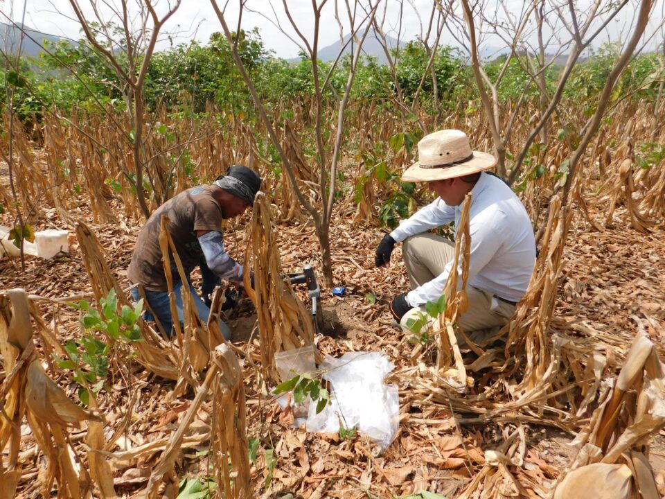 La sequía fenómeno crónico en más de la mitad del país