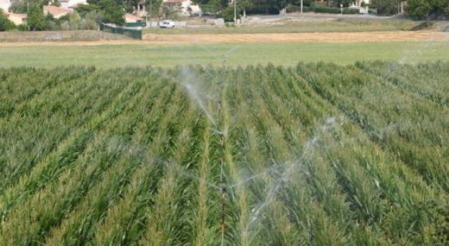 Financiamiento a productos frescos nuevo activo con futuro para la nutrición