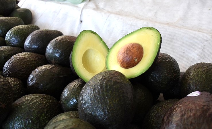 Hasta nuevo aviso la reanudación de exportaciones de aguacate a EUA