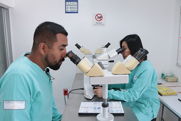 México entre los 8 países con mejor estatus sanitario del mundo