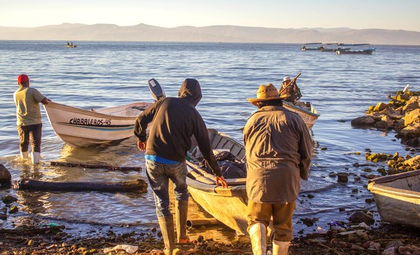 Vedas para especies marinas y dulceacuícolas del Golfo y Pacífico