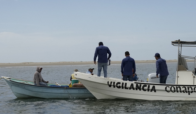 Con apoyo de efectivos de la Semar decomisan producto pesquero