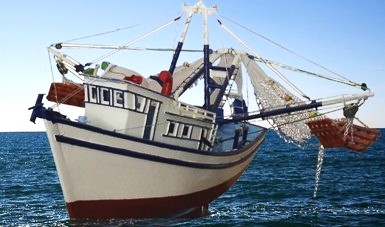 Falta de trazabilidad dificulta comercializar productos del mar en México