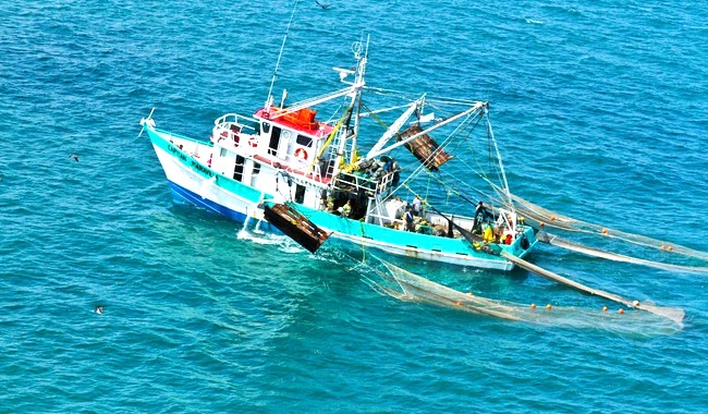 Reto para México valorar en 2025 la importancia de la pesca: Oceana