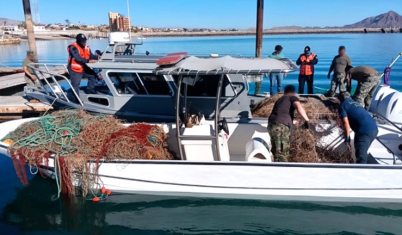 Intensifica gobierno federal patrullaje en el Alto Gofo de California