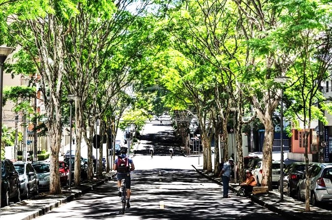 San Luis Potosí ciudad verde y resiliente de México: FAO