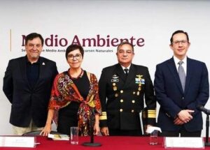 Avistamiento vaquita