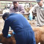 Suspenden movilidad de ganado procedente del sur del país