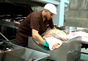 Subproductos animales1