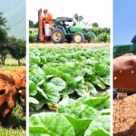 Desplome de la balanza comercial agroalimentaria en 2025