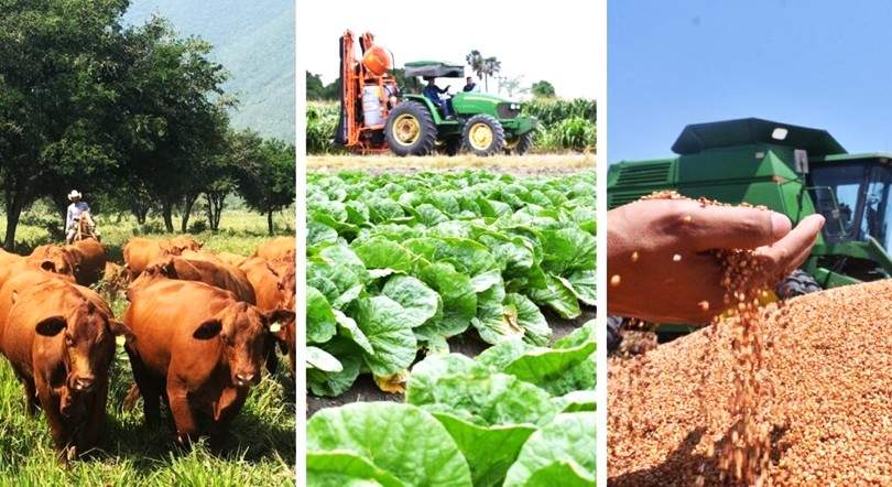 Desplome de la balanza comercial agroalimentaria en 2025