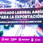 Certificado Laboral de Agroexportación de Aguacate