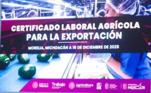 Certificado Laboral de Agroexportación de Aguacate