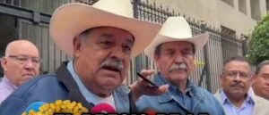 De 10 a 12 pesos precio real del kilo de tortilla: FNRC