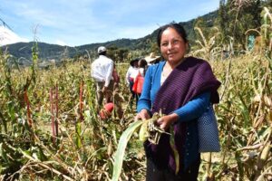 Insuficientemente atendidas las mujeres rurales