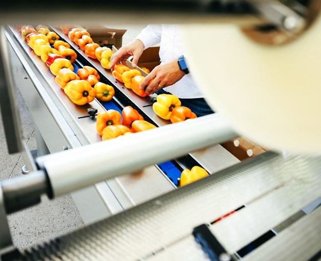 Sensibles las exportaciones agroalimentarias de México a EU