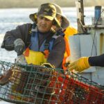 Actualización del certificado de exportación de pesca