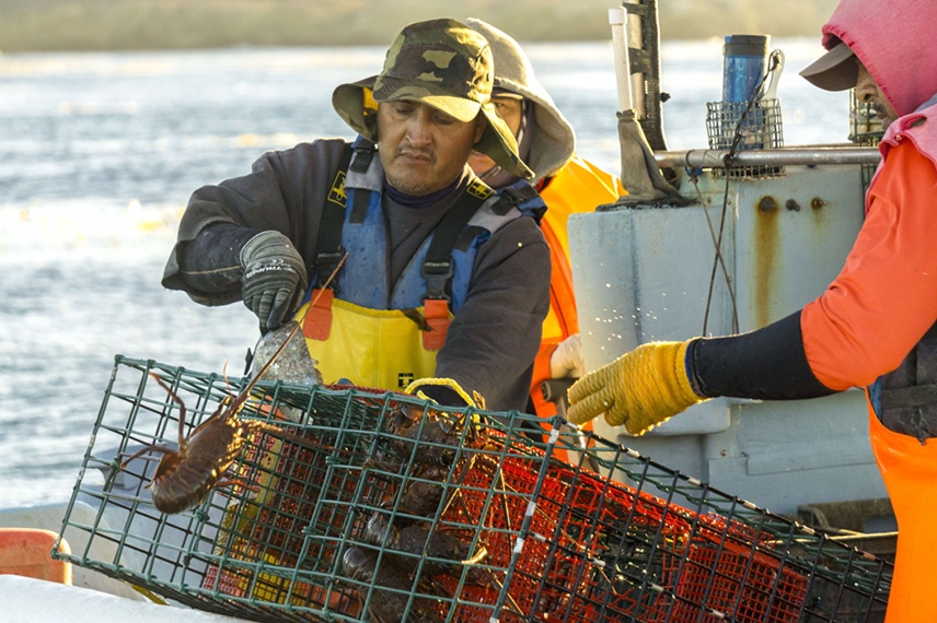 Actualización del certificado de exportación de pesca