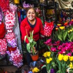 La floricultura sector clave para la economía familiar