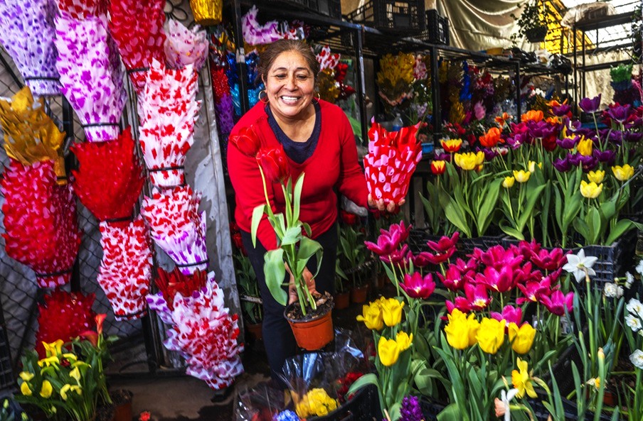 La floricultura sector clave para la economía familiar