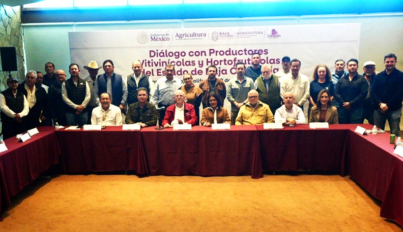 Escasez de agua, sanidad e infraestructura demandan viticultores de BC