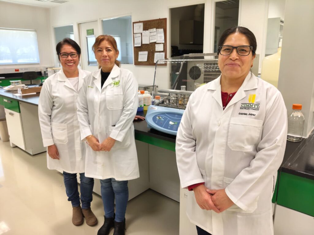 Investigadoras CIMMYT