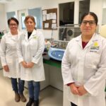 Investigadoras CIMMYT