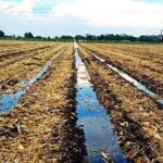 La batalla del agua también la batalla por los alimentos