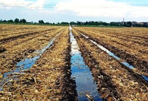 La batalla del agua también la batalla por los alimentos