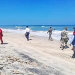 Hidrocarburos Tams...