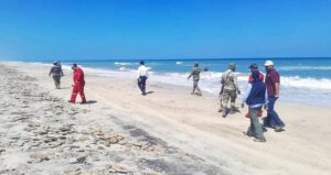 Hidrocarburos Tams...