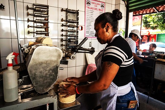 Ninguna razón para el alza al precio de la tortilla: CSP
