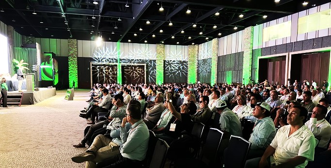 Productividad y competitividad en la industria bananera